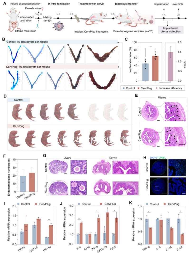涿州哪些醫(yī)院能做試管嬰兒？聽(tīng)聽(tīng)姐妹們的答案