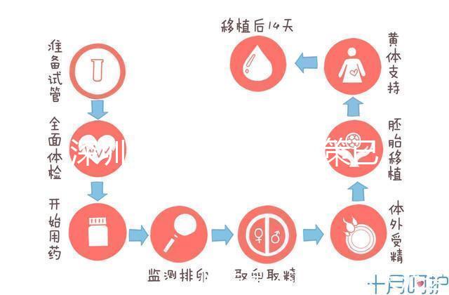 深圳最新獨(dú)生子女政策已出爐，羅湖、南山區(qū)補(bǔ)貼金均有提高