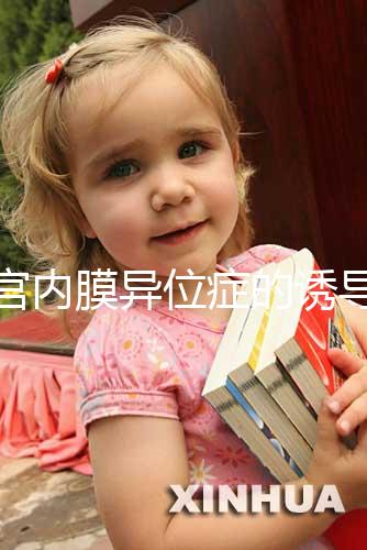 子宮內(nèi)膜異位癥的誘導(dǎo)排卵方案，其實沒有標準答案