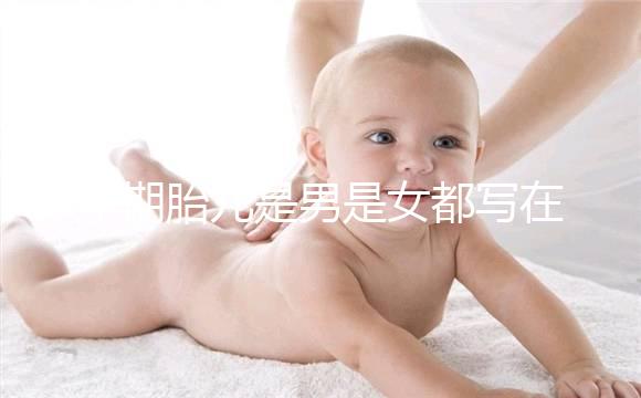 孕期胎兒是男是女都寫在B超單上，或真能一眼看出來