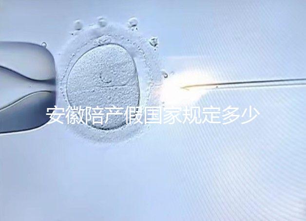 安徽陪產假國家規(guī)定多少天更新,2024淮南何時開始執(zhí)行戳