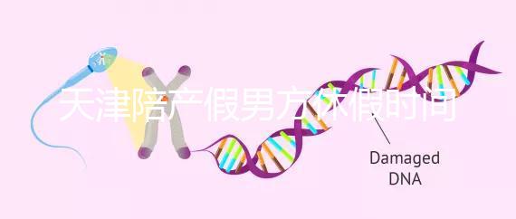 天津陪產假男方休假時間2024已揭曉，是否含周末統(tǒng)一回復