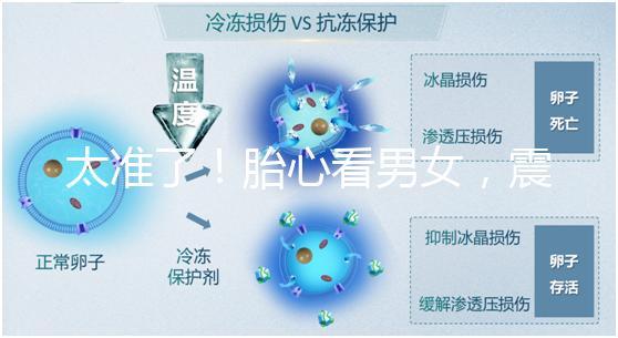 太準(zhǔn)了！胎心看男女，震驚結(jié)果大于150就一定是女孩