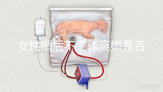 女性婚后不工作離婚是否還錢有規定，如何處理需要早知道