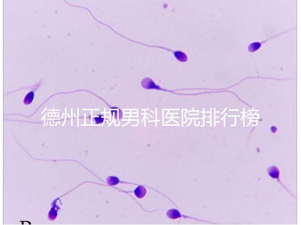 德州正規男科醫院排行榜分享！2024哪個最好一看便知