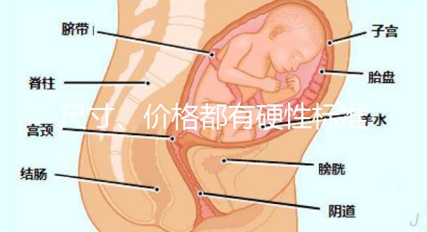 尺寸、價格都有硬性標(biāo)準(zhǔn)，選擇雙胞胎嬰兒床決不可大意！