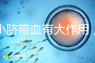 小小臍帶血有大作用，不僅能治療白血病還能拯救腦癱兒