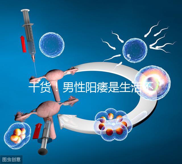 干貨！男性陽(yáng)痿是生活不規(guī)律引起催乳激素偏高導(dǎo)致