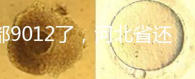 都9012了，河北省還沒三代試管嬰兒醫(yī)院，看看姐妹怎么說