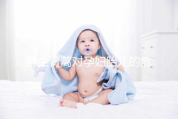 野生青蒿對孕婦胎兒的危害多，能否泡腳、洗澡看這里