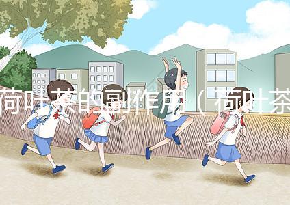 荷葉茶的副作用（荷葉茶的副作用與危害性）