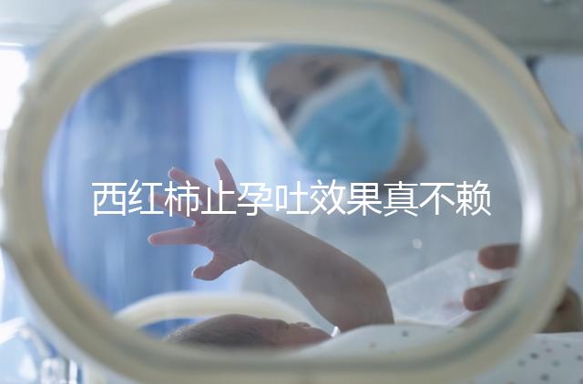 西紅柿止孕吐效果真不賴，選小的生吃或加雞蛋打湯都行