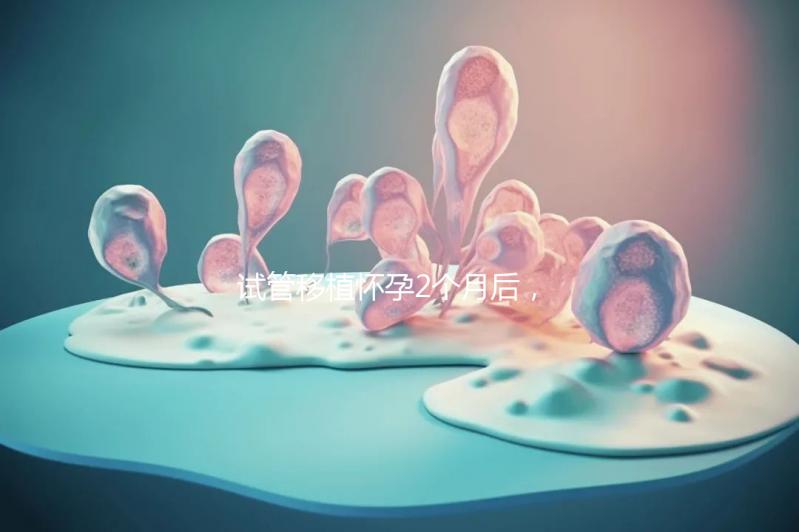 試管移植懷孕2個(gè)月后，還能不能吃酸筍田螺？