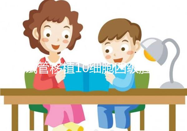 試管移植10細(xì)胞四級(jí)胚胎成功率低,著床難別抱太大希望
