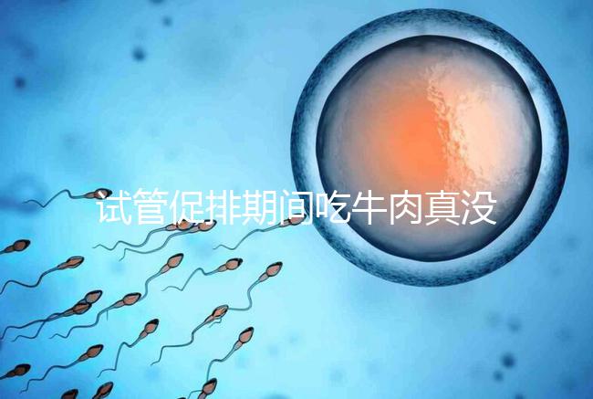試管促排期間吃牛肉真沒影響，關鍵在于是火鍋還是牛肉干