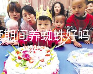 試管期間養蜘蛛好嗎？人們告訴你，這些影響應該早知道