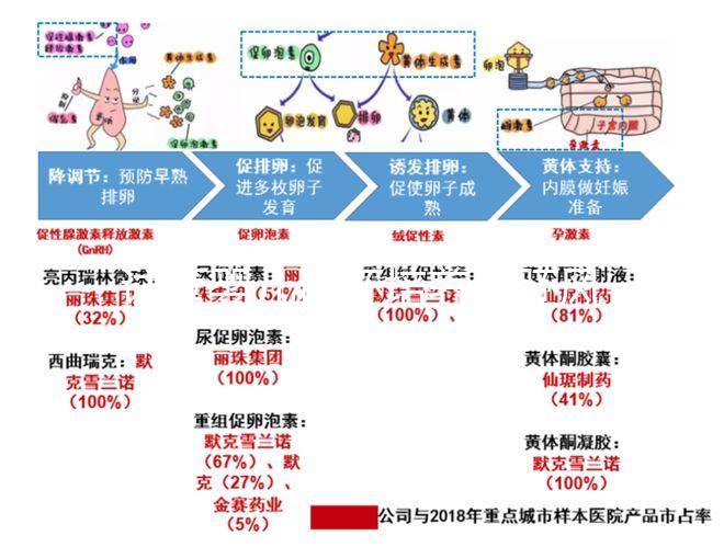 試管嬰兒優(yōu)胚培養(yǎng)囊胚風險特別大,逃不掉這3大原因