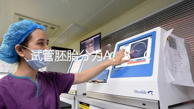 試管胚胎分為A、B、C、D四級，那么每一級分別代表什么？