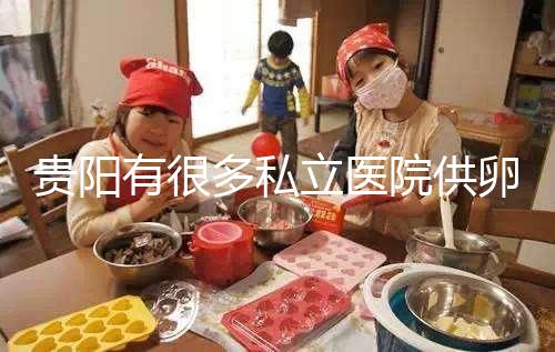 貴陽有很多私立醫(yī)院供卵生子，附2024年新版助孕排名