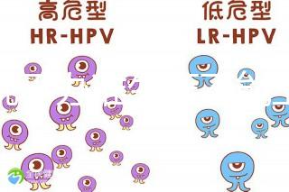 誰說不辦準生證不能上戶，2020年生育新政策了解下！