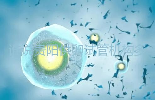 誰說貴陽供卵試管機構多給錢就不用排隊，醫生：不亂收費