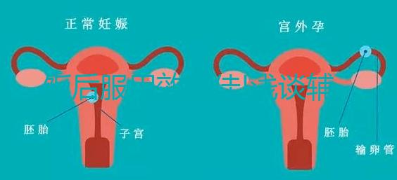 飯后服用效更佳!淺談?shì)o酶Q10的正確服用方法