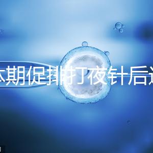 黃體期促排打夜針后還要吃地屈孕酮！服用后作用可真不少