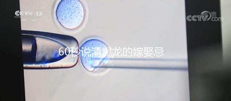 60秒說清屬龍的嫁娶忌的三個(gè)屬相，大師：十婚九不幸