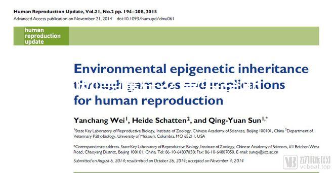 60秒弄懂什么是安全期，女生們別再和黃體期混為一談！