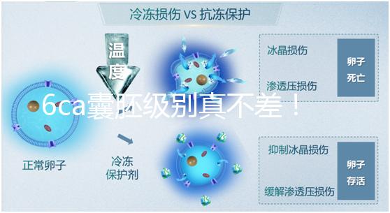 6ca囊胚級別真不差！嘗試移植才有機會,有信心才能“好孕”