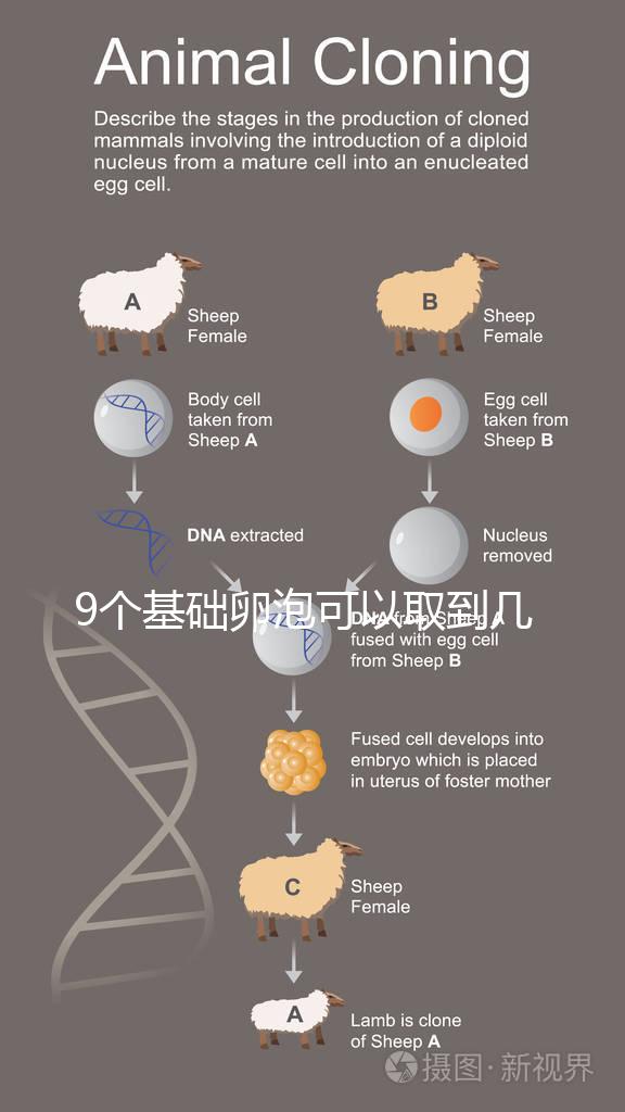 9個基礎(chǔ)卵泡可以取到幾個卵戳，促排后會不會增加很重要