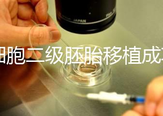 9細胞二級胚胎移植成功案例不少，過來人告訴你著床率較高