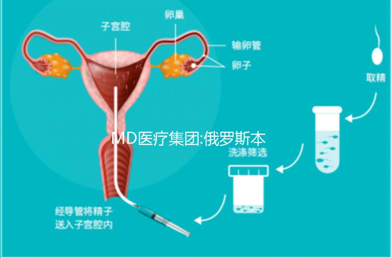 MD醫療集團:俄羅斯本土已上市的一家母嬰醫療機構