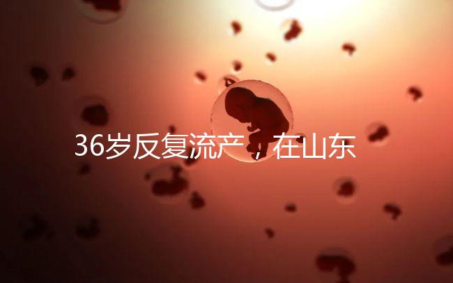 36歲反復(fù)流產(chǎn)，在山東做一次試管嬰兒的成功率有多高？