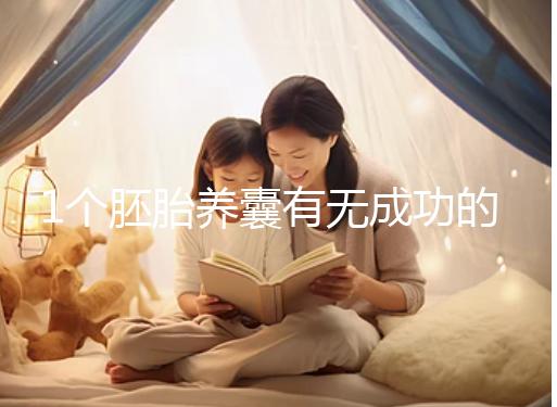 1個(gè)胚胎養(yǎng)囊有無成功的幾率進(jìn)來看，能養(yǎng)成幾個(gè)真不好說