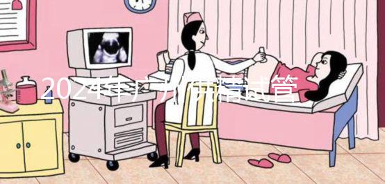 2024年廣州供精試管嬰兒最新價格表，必須符合要求