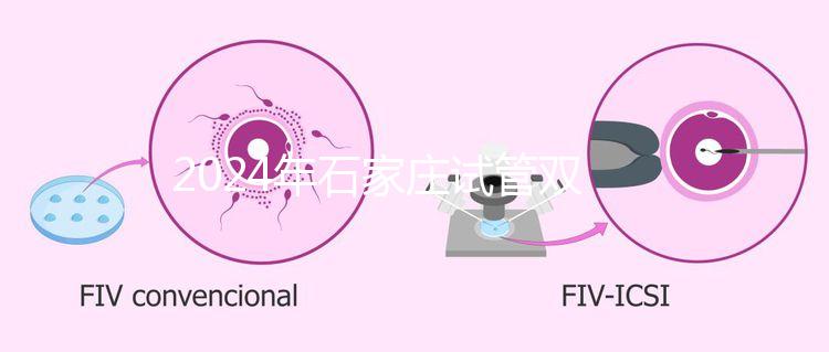 2024年石家莊試管雙胞胎醫院排名，不要錯過新華、長安