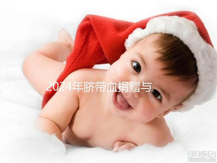 2024年臍帶血捐贈與自存的區別來襲，哪個是好的揭秘？