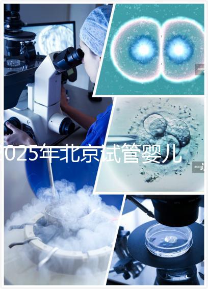 2025年北京試管嬰兒全費用概覽：了解您的預算需求！