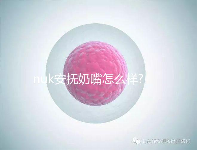 nuk安撫奶嘴怎么樣?4大系列總會(huì)有適合你的